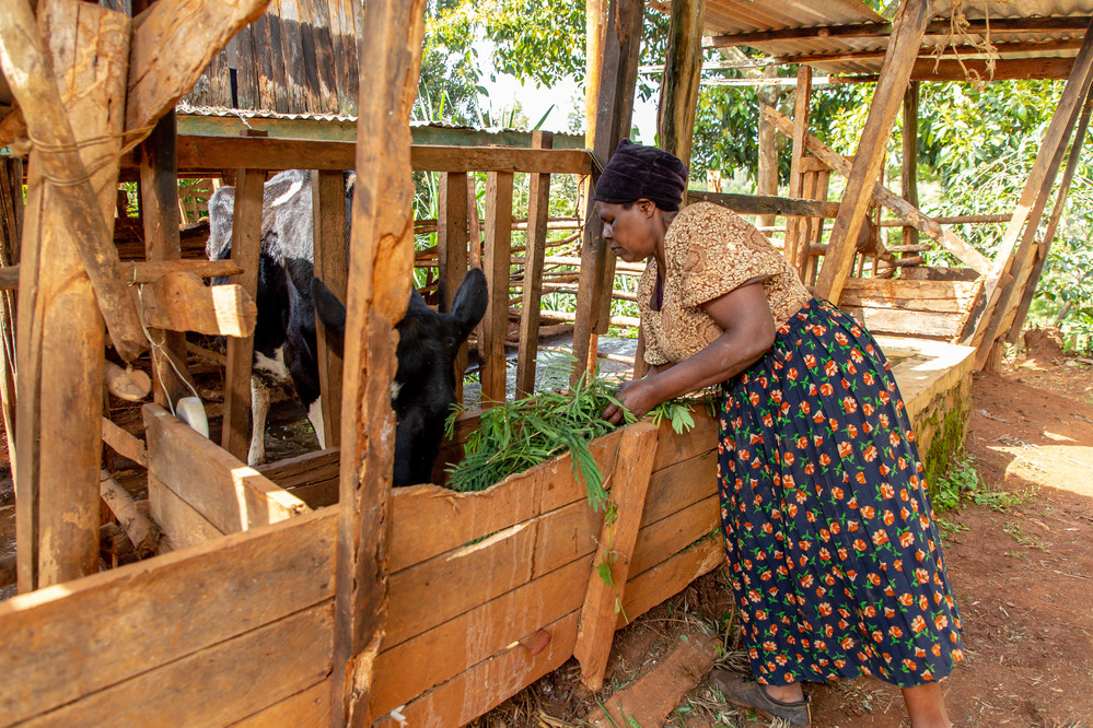 Kenya - Upper Tana Catchment Natural Resource - October 2022